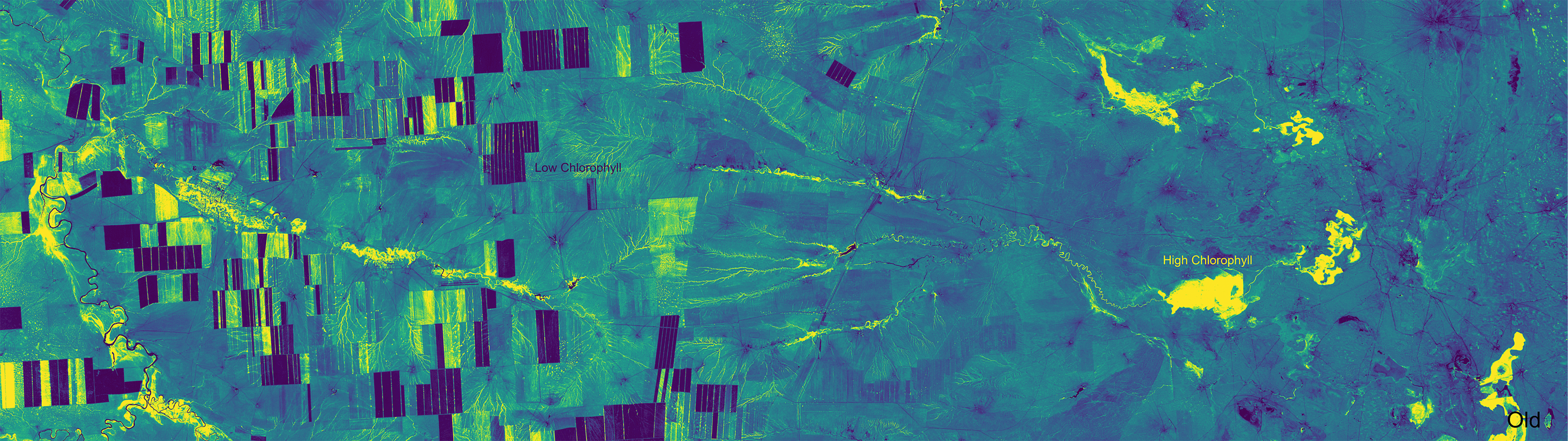 NDVI Fields May