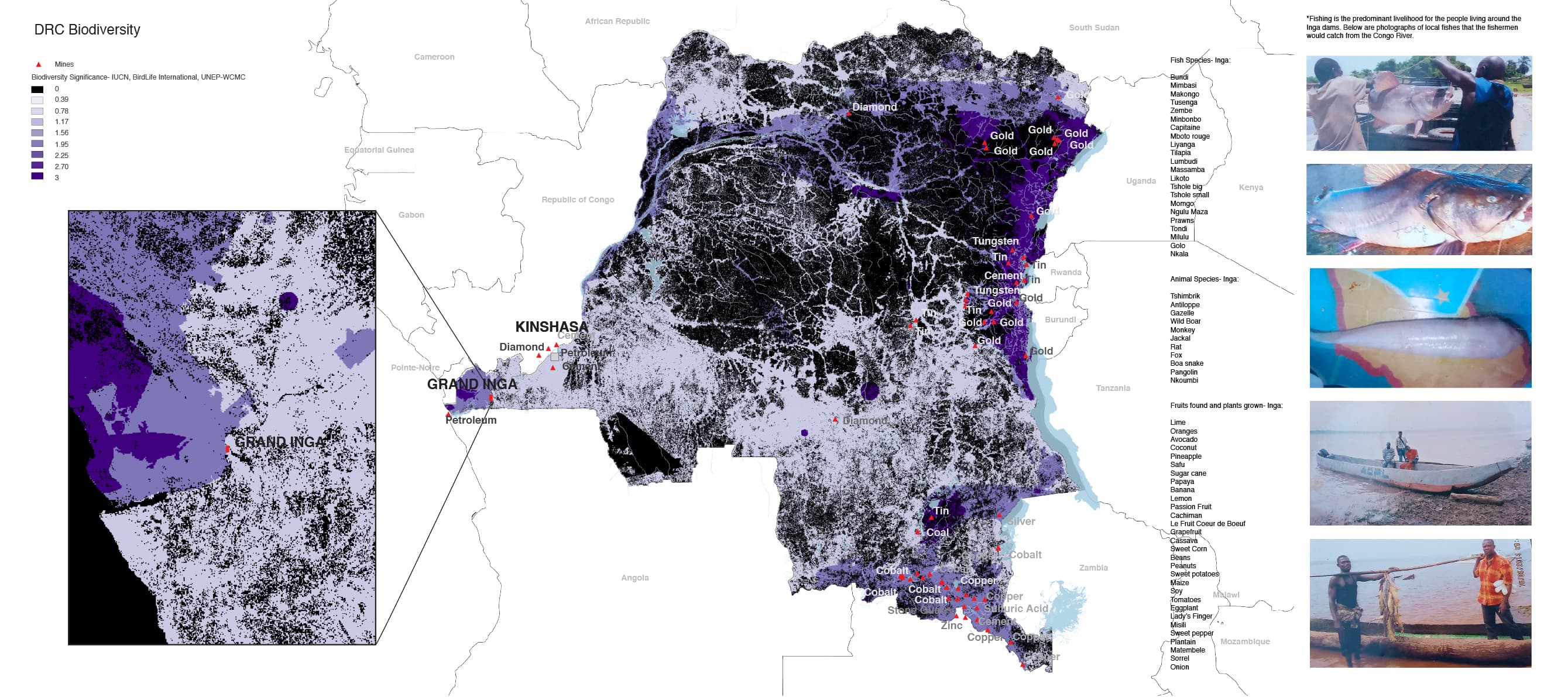 DRC Biodiversity